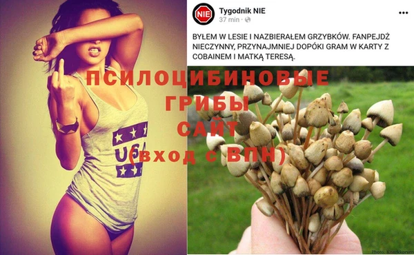 а пвп мука Гвардейск