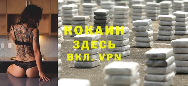 крисы Алексин
