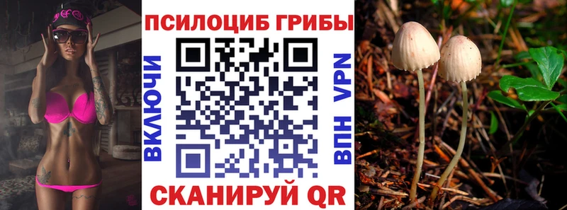 Псилоцибиновые грибы Psilocybine cubensis дарнет шоп Североуральск