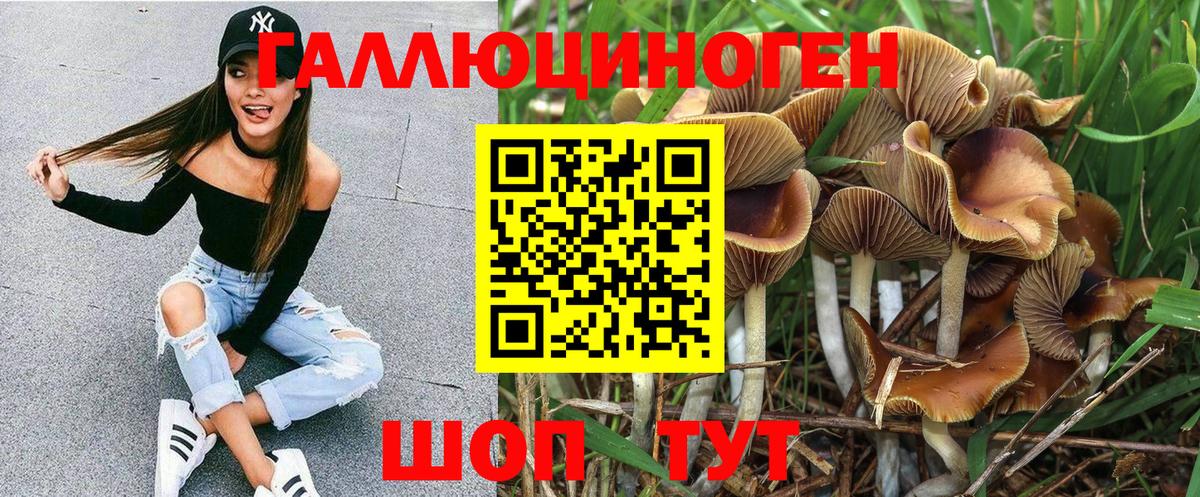 Галлюциногенные грибы Cubensis  Вход с VPN  Североуральск 