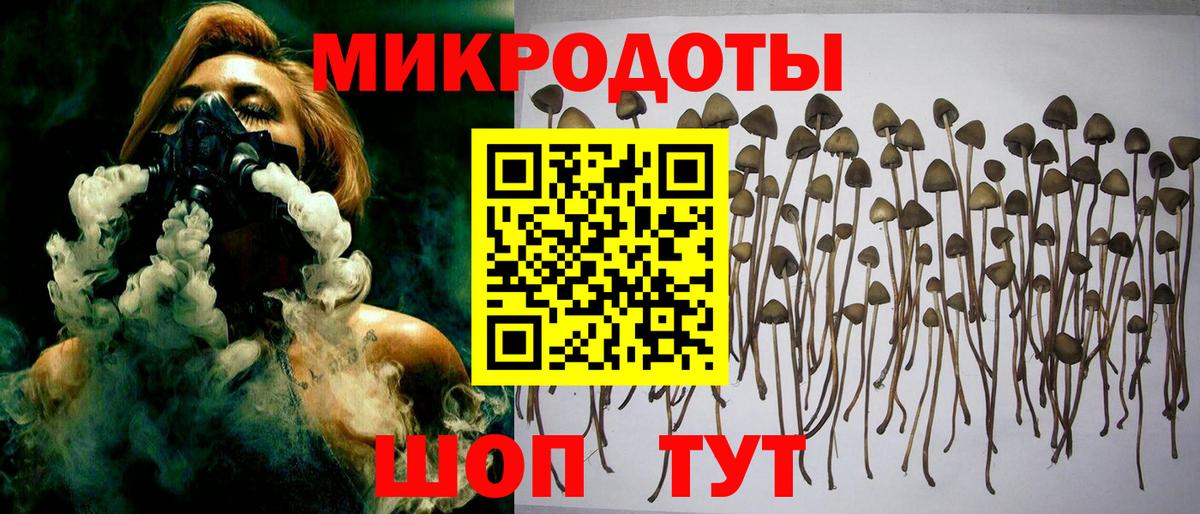Псилоцибиновые грибы ЛСД Североуральск